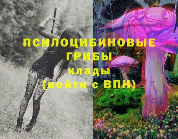 скорость Алексеевка
