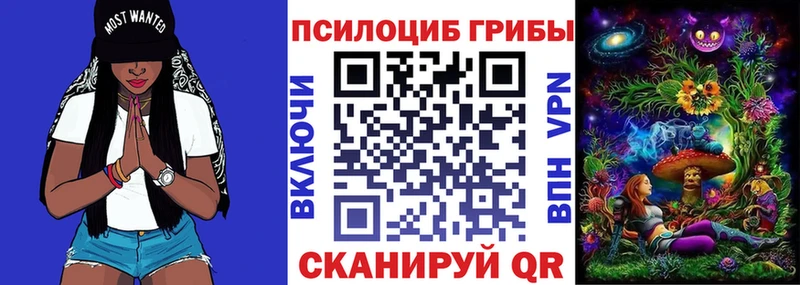 omg ТОР  Инсар  Галлюциногенные грибы прущие грибы 